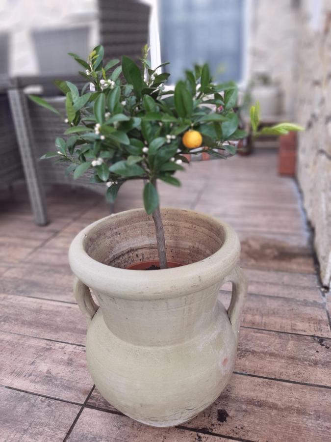 Apartment Sorgenfrei Caputh Zewnętrze zdjęcie