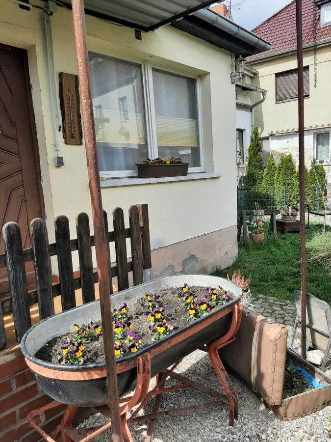 Apartment Sorgenfrei Caputh Zewnętrze zdjęcie